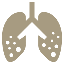 icono pulmones