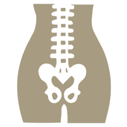 icono suelo pelvico